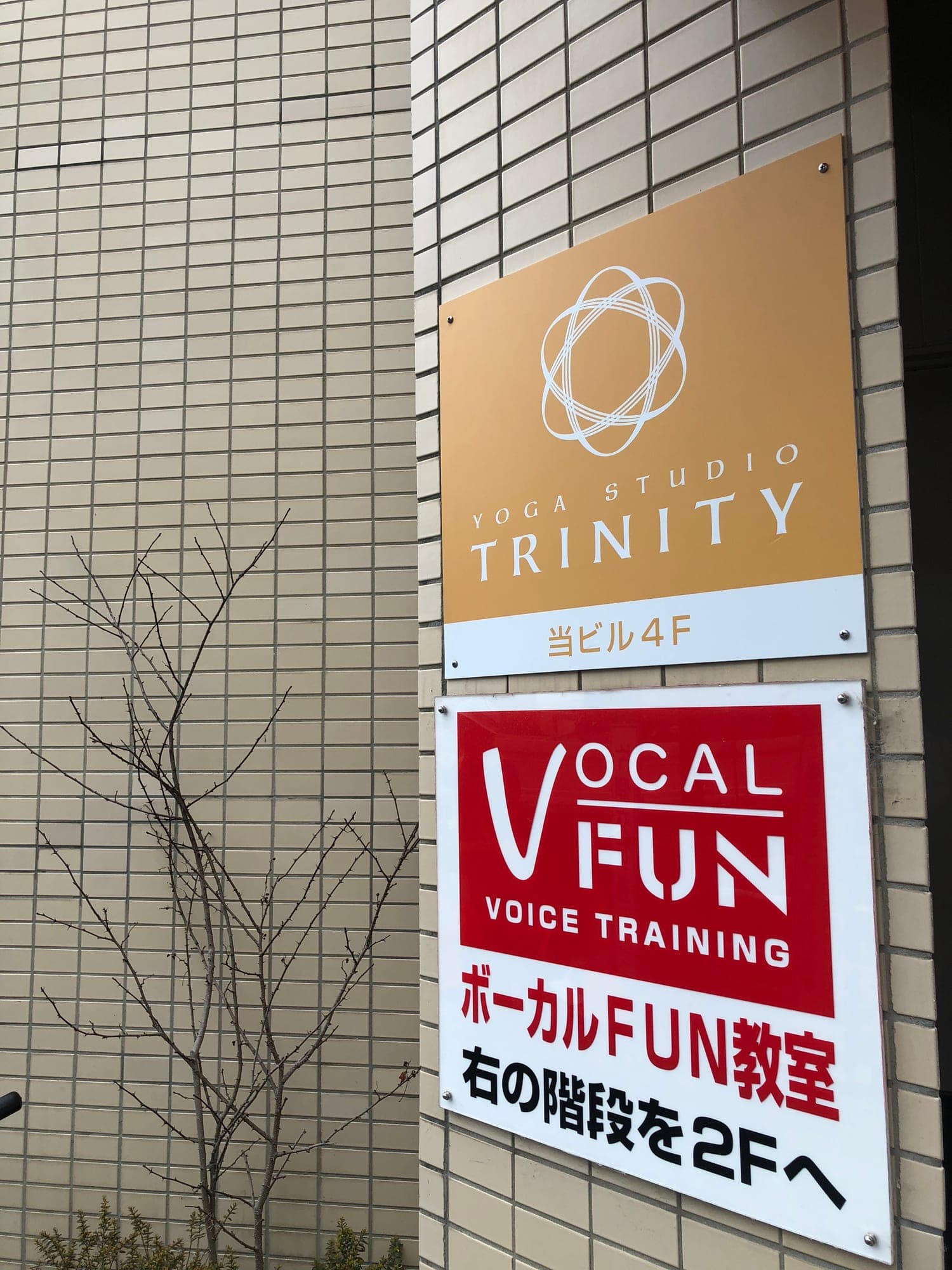 スタジオでのヨガレッスン